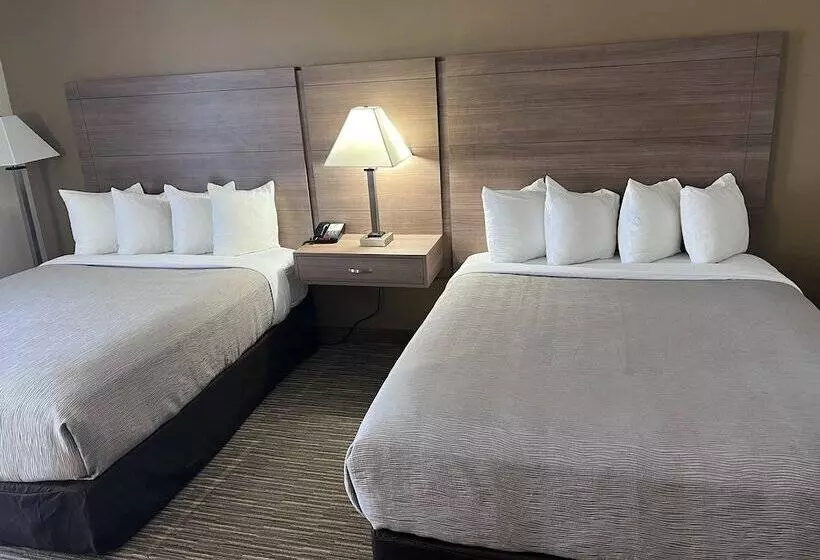スタンダードルーム, Quality Inn Shelburne Burlington