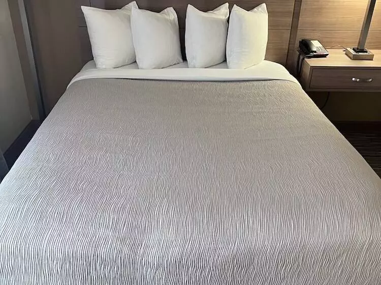 スタンダードルーム, Quality Inn Shelburne Burlington
