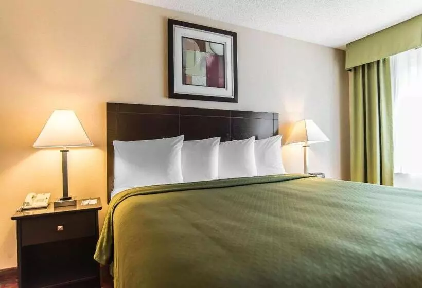 キングサイズベッドのスタンダードルーム, Quality Inn Shelburne Burlington