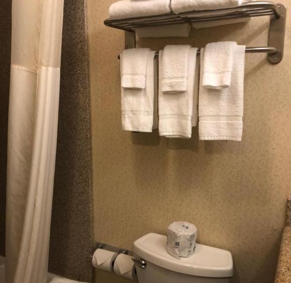Стандартный Номер Кровать Кинг, Quality Inn Shelburne  Burlington