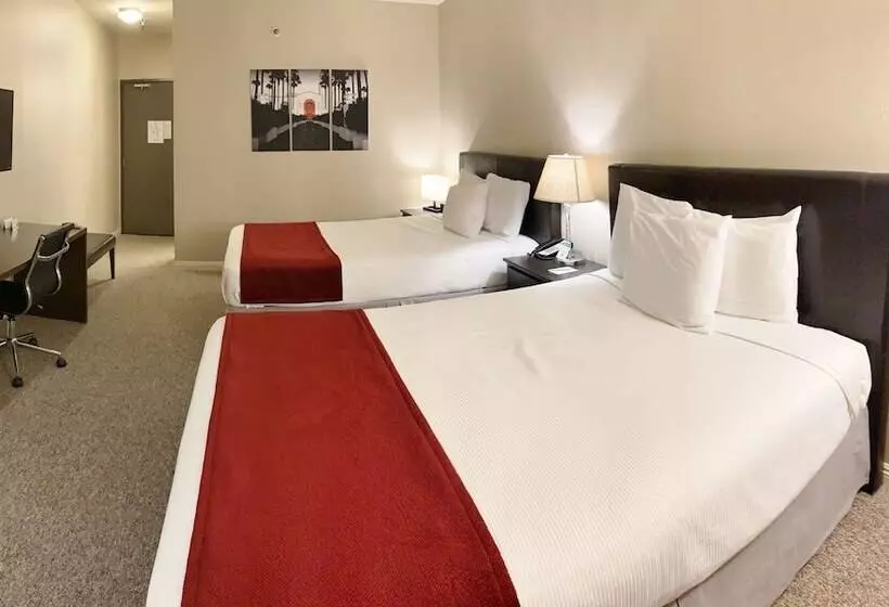 اتاق استاندارد, Redac Gateway Hotel Torrance
