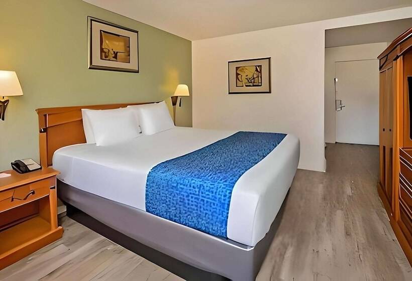 标准间带双人床, Econo Lodge