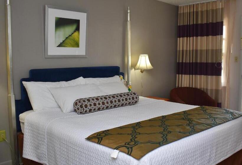 带大床的豪华间, Twi Lite Inn