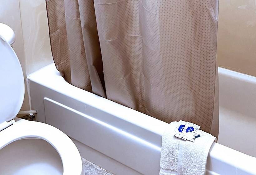 غرفه قياسيه سريرين مزدوجين, Thunderbird Motel Hillsboro