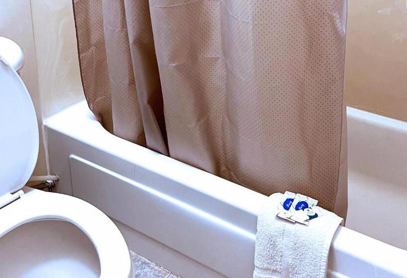 غرفه قياسيه سريرين مزدوجين, Thunderbird Motel Hillsboro