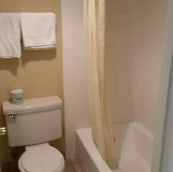اتاق استاندارد با 2 تخت دوبل, Town House Motel