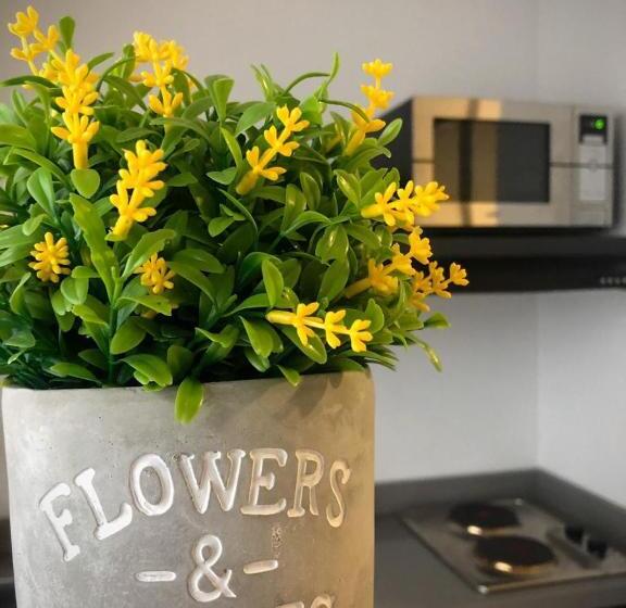 스탠다드 룸, Kapital Suites