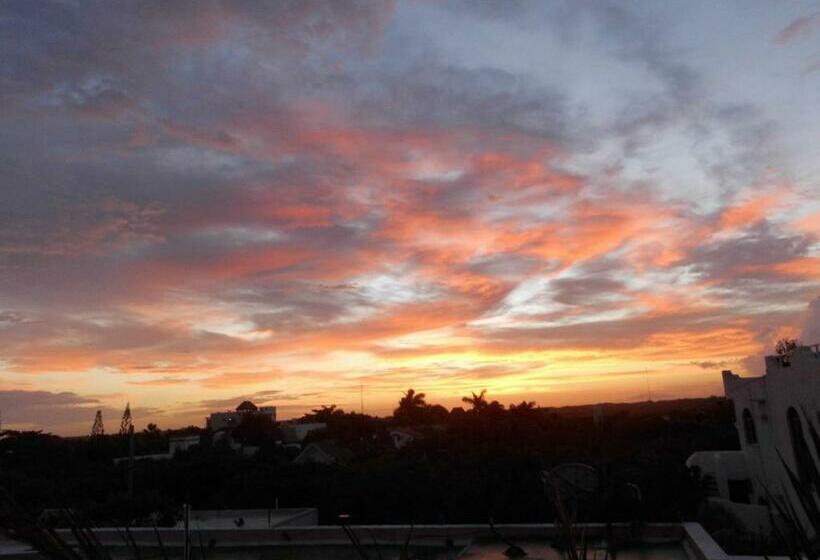 آپارتمان 1 خوابه با بالکن, Casa Gatos