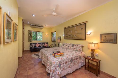 آپارتمان 1 خوابه با بالکن, Casa Gatos