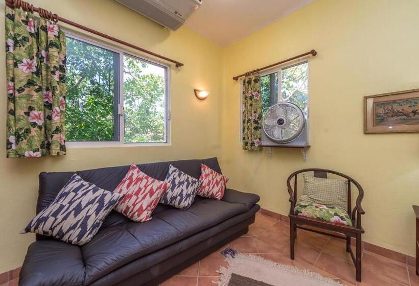 آپارتمان 1 خوابه با بالکن, Casa Gatos