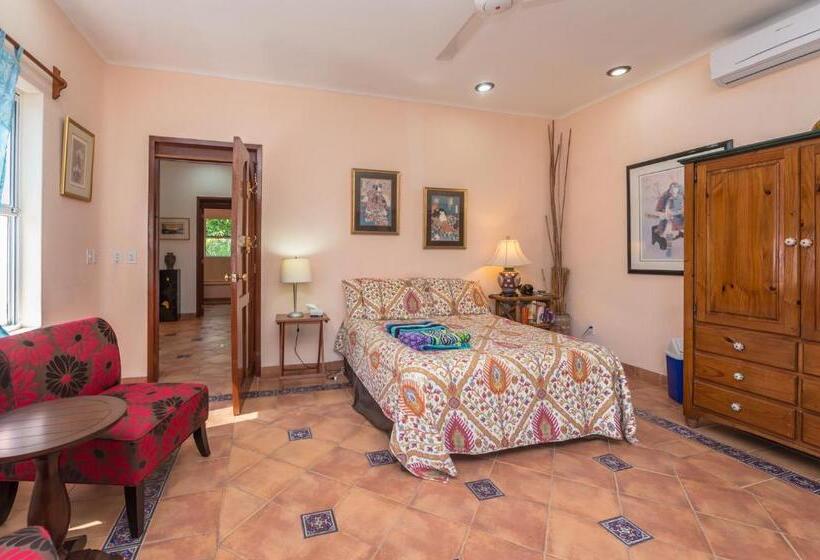 آپارتمان 1 خوابه با بالکن, Casa Gatos