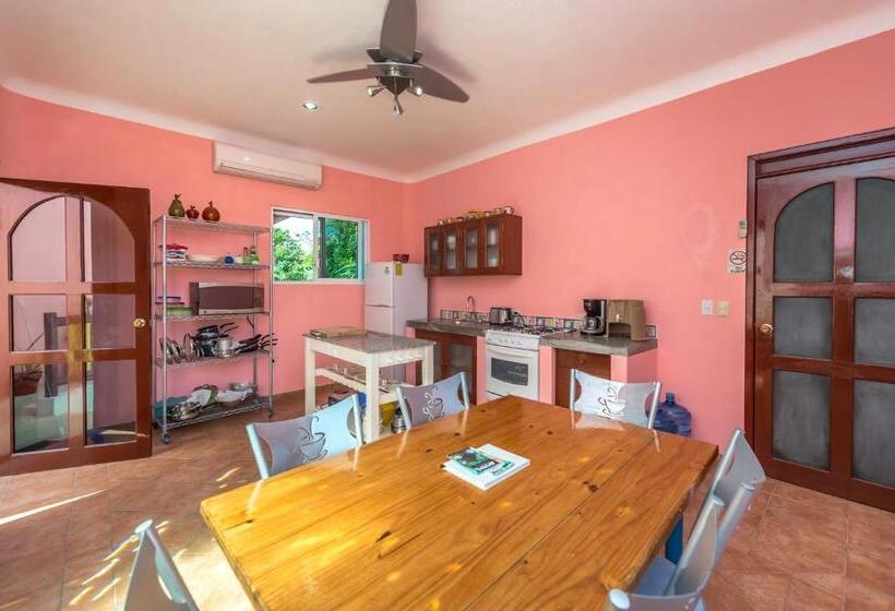 آپارتمان 1 خوابه با بالکن, Casa Gatos