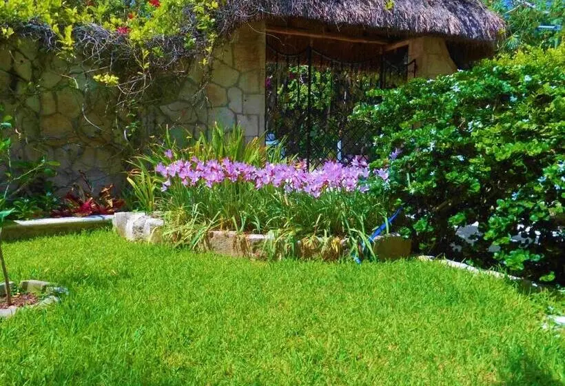 キングサイズベッドのスイートルーム, Casa Gatos Suites