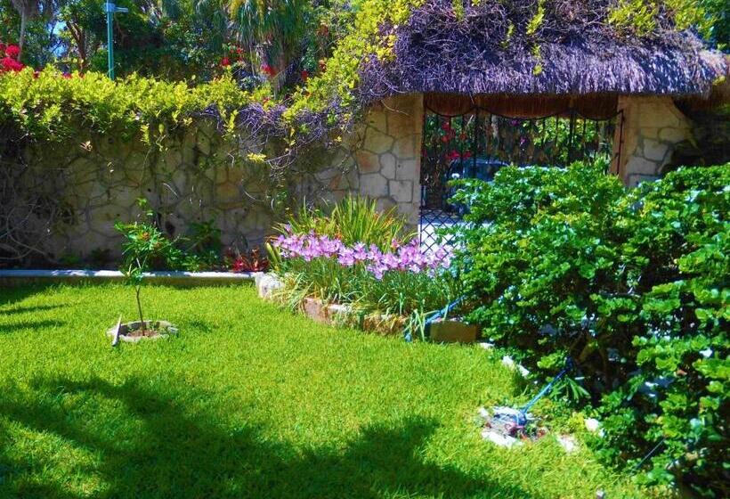 سوئیت با تخت بزرگ, Casa Gatos