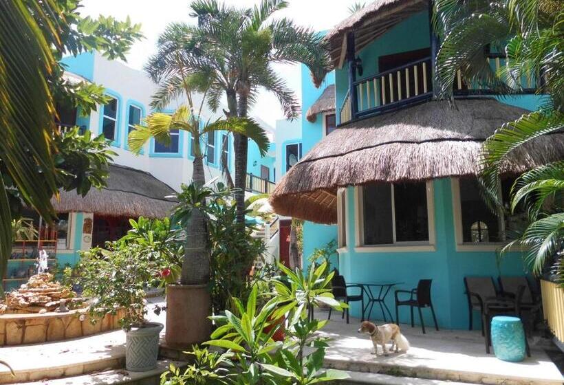 آپارتمان لوکس 1 خوابه, Casa Gatos