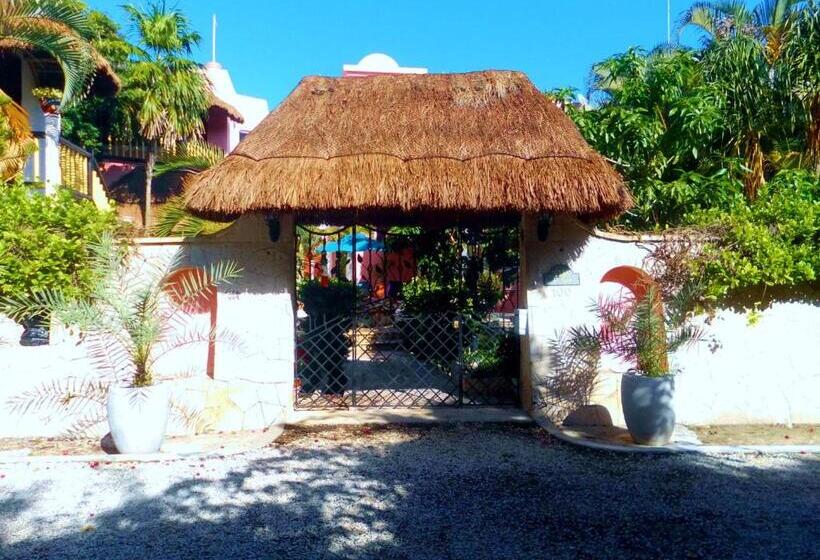 آپارتمان لوکس 1 خوابه, Casa Gatos