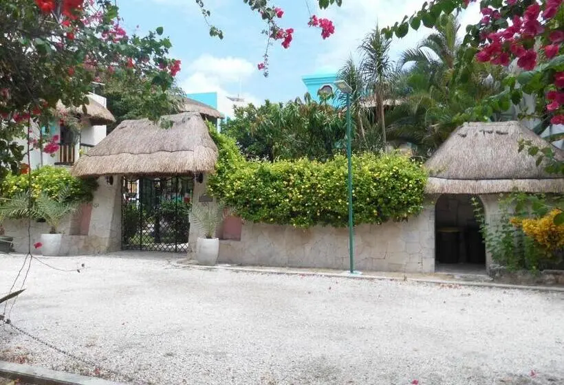 １ベッドルームのデラックスアパートメント, Casa Gatos Suites