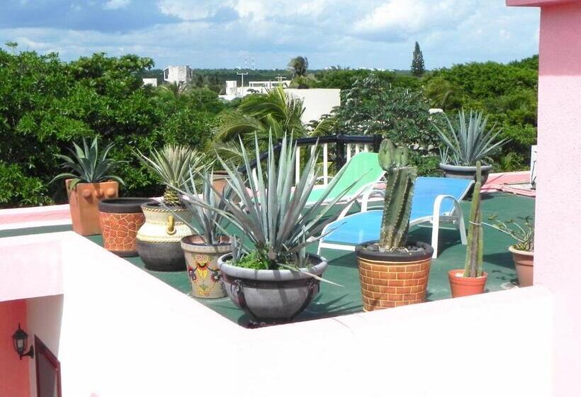 آپارتمان لوکس 1 خوابه, Casa Gatos