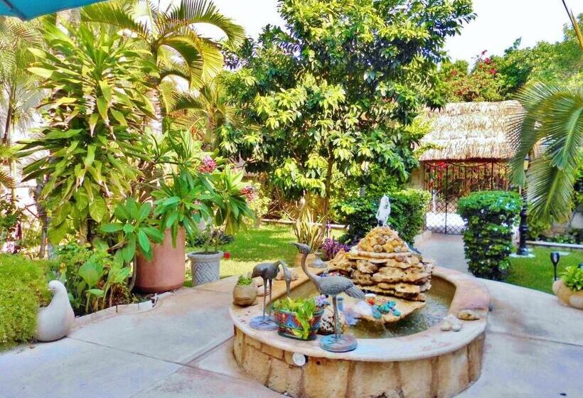 آپارتمان 1 خوابه, Casa Gatos