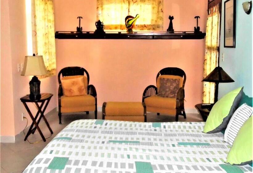 آپارتمان 1 خوابه, Casa Gatos
