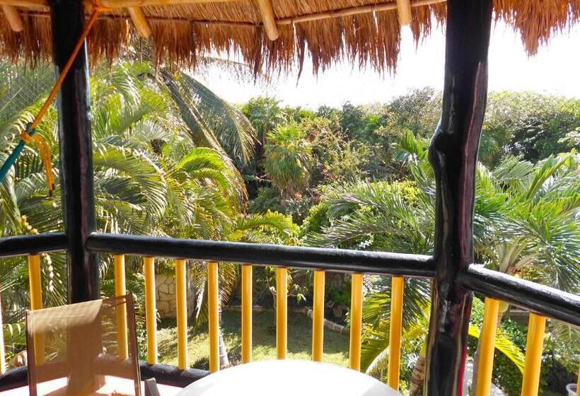 آپارتمان 1 خوابه, Casa Gatos