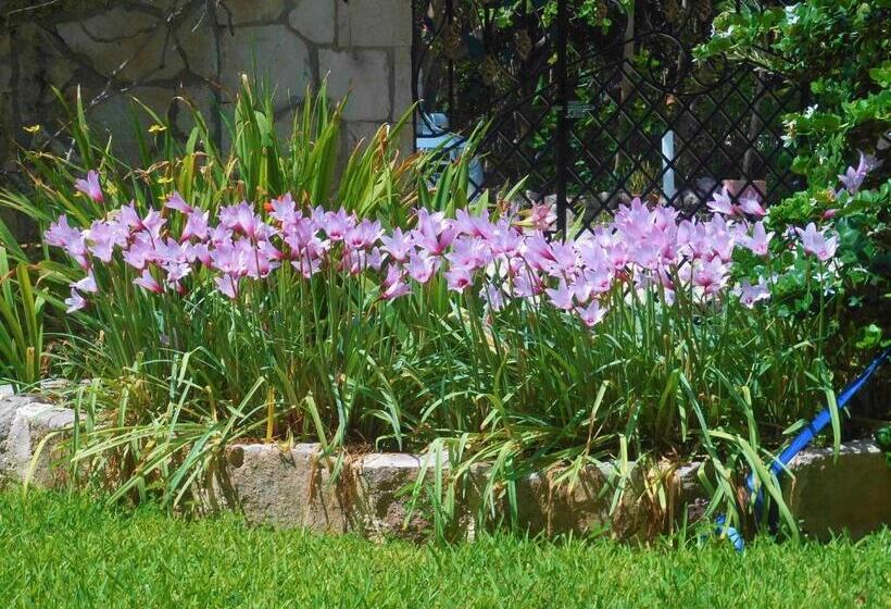 آپارتمان 1 خوابه با بالکن, Casa Gatos