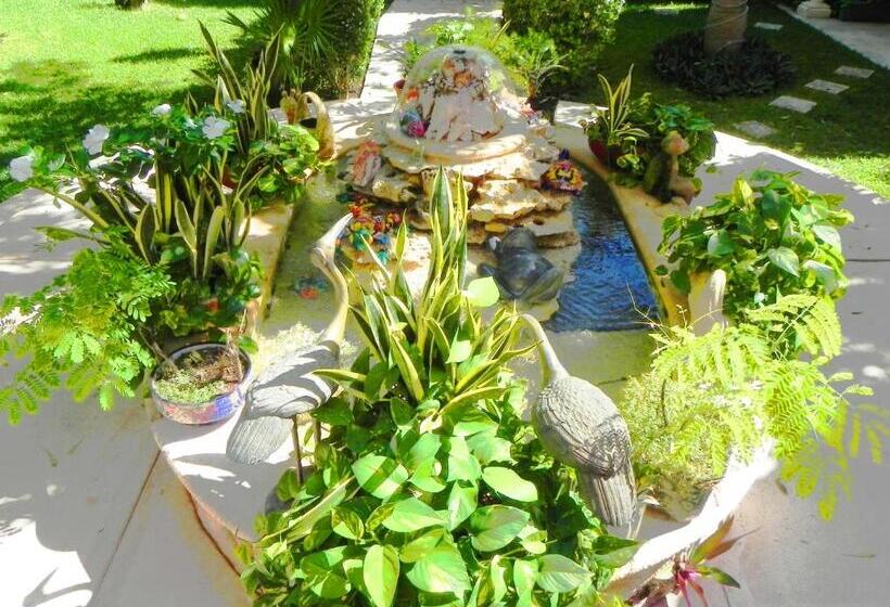 آپارتمان 1 خوابه با بالکن, Casa Gatos