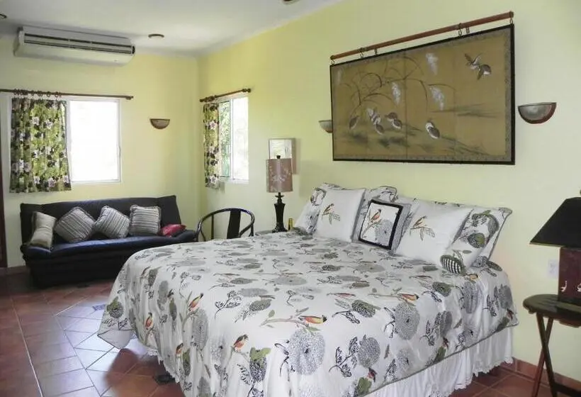 バルコニー付き１ベッドルームアパートメント, Casa Gatos Suites