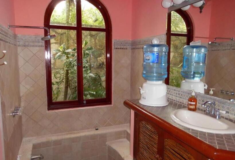 سوئیت با تخت بزرگ, Casa Gatos