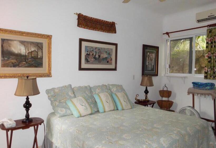 سوئیت با تخت بزرگ, Casa Gatos