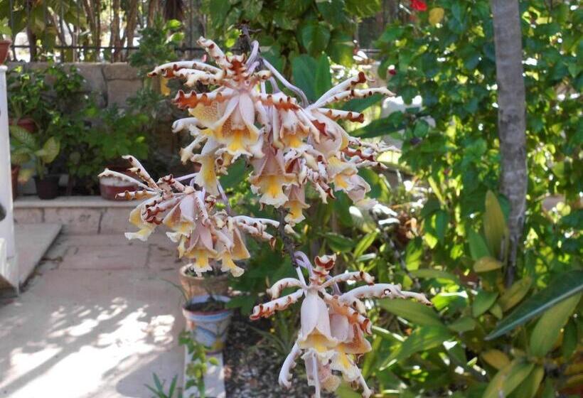 آپارتمان لوکس 1 خوابه, Casa Gatos