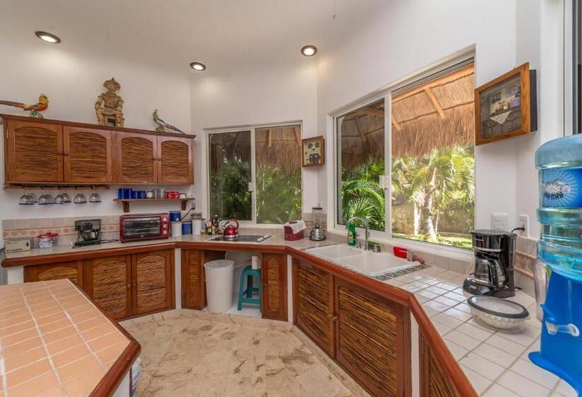 آپارتمان لوکس 1 خوابه, Casa Gatos