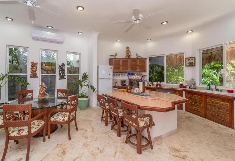 آپارتمان لوکس 1 خوابه, Casa Gatos