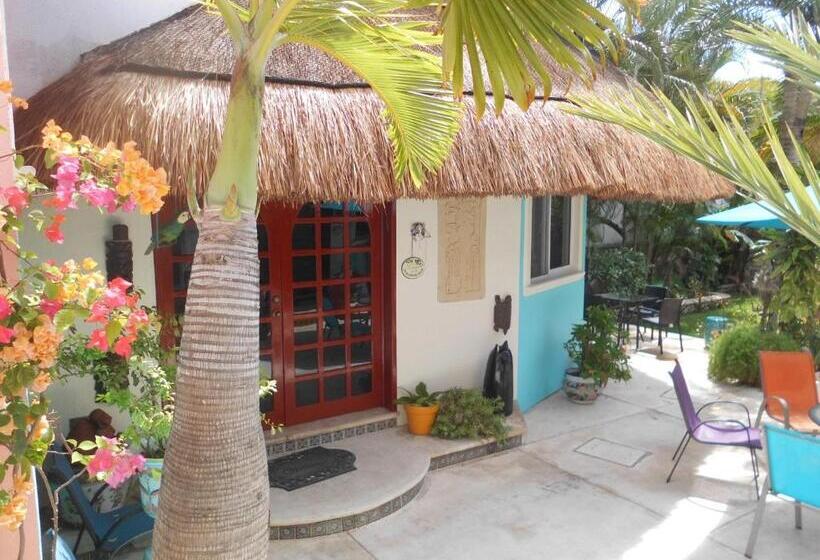 آپارتمان لوکس 1 خوابه, Casa Gatos