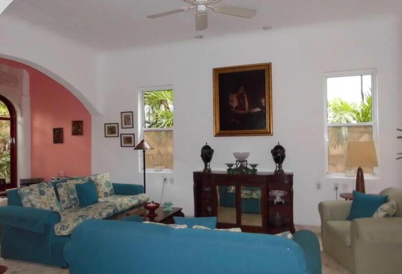 آپارتمان لوکس 1 خوابه, Casa Gatos