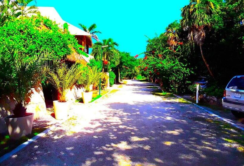 آپارتمان 1 خوابه, Casa Gatos