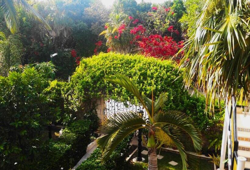 آپارتمان 1 خوابه, Casa Gatos