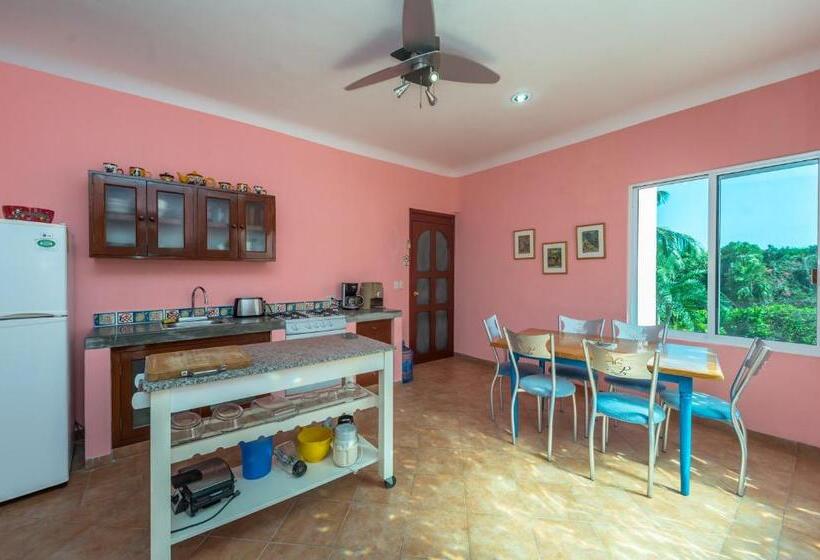 آپارتمان 1 خوابه با بالکن, Casa Gatos