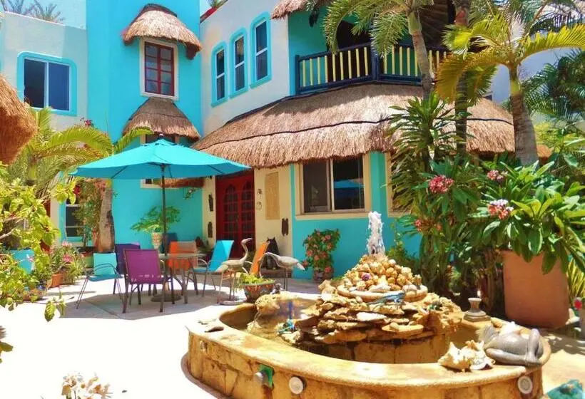 バルコニー付き１ベッドルームアパートメント, Casa Gatos Suites