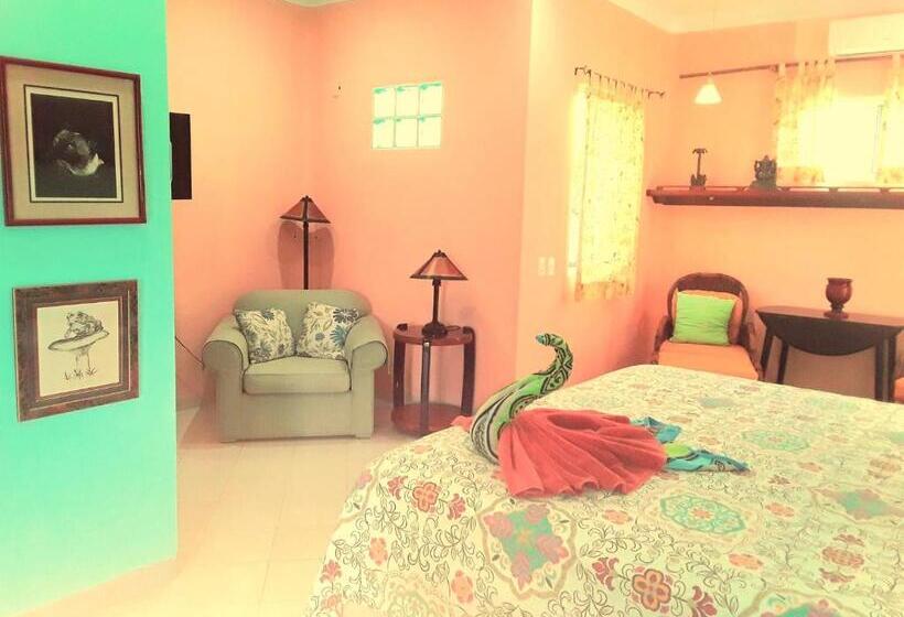 آپارتمان 1 خوابه, Casa Gatos