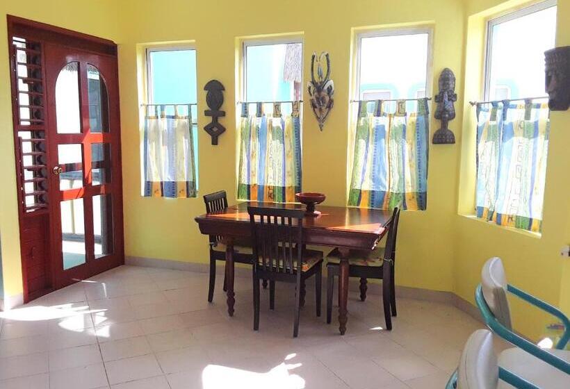 آپارتمان 1 خوابه, Casa Gatos