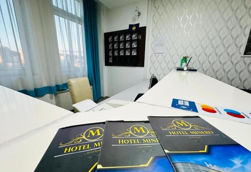 اتاق استاندارد یک نفره, Minero