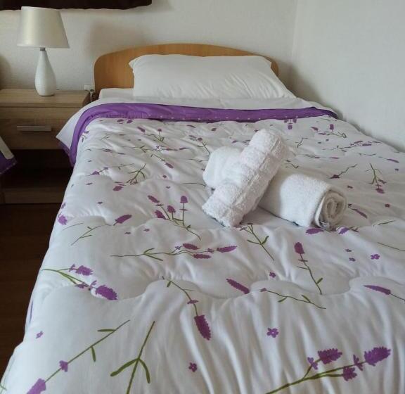 اتاق استاندارد یک نفره, Guest House Janja Ostojic