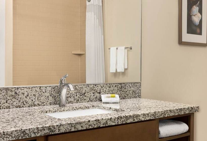 带双人床的标准工作室, Candlewood Suites   Safety Harbor, An Ihg