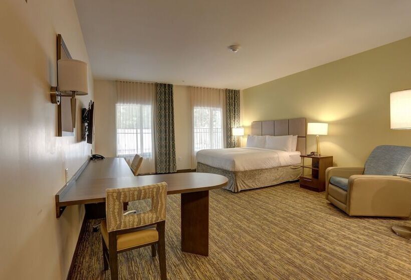 带双人床的标准工作室, Candlewood Suites   Safety Harbor, An Ihg