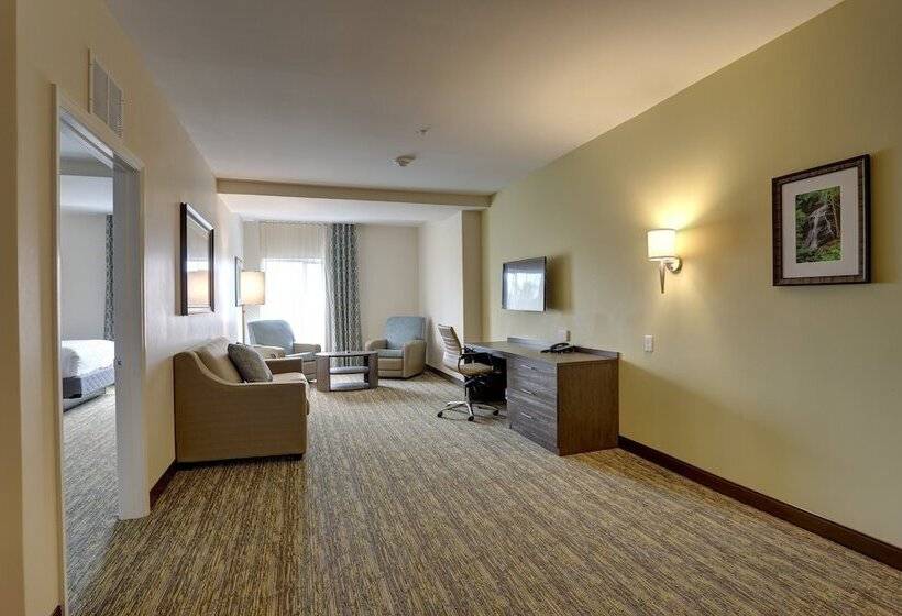 套房, Candlewood Suites   Safety Harbor, An Ihg