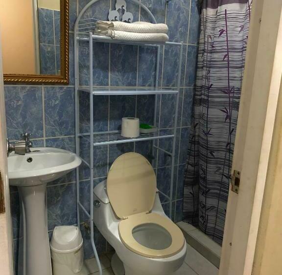 غرفة قياسية, Black Lion Inn