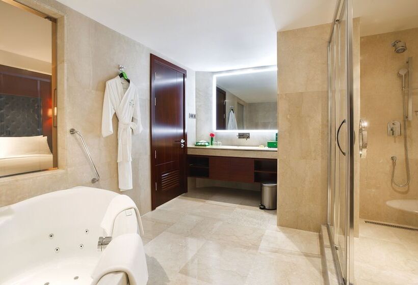 اتاق استاندارد, Holiday Inn Dhaka City Centre By Ihg