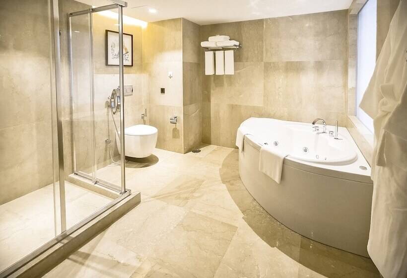 اتاق استاندارد, Holiday Inn Dhaka City Centre By Ihg