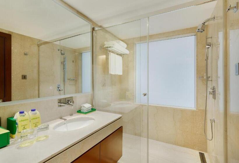 اتاق استاندارد با تخت بزرگ, Holiday Inn Dhaka City Centre By Ihg